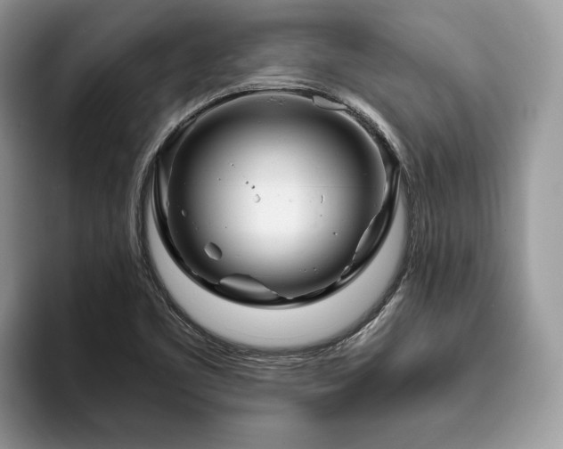 X0000094081461200710191412