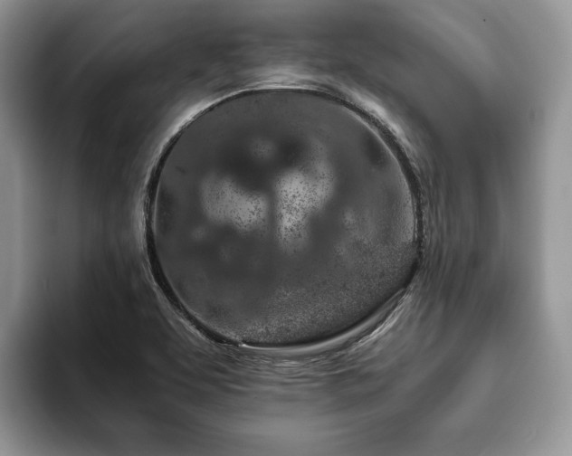 X0000094081463200710191412