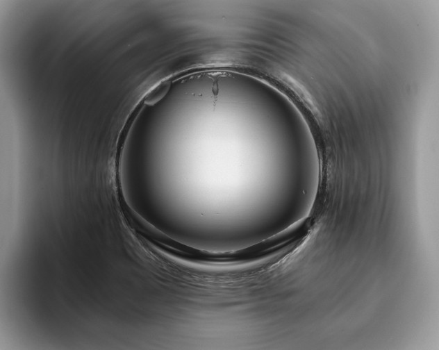 X0000094081465200710191412