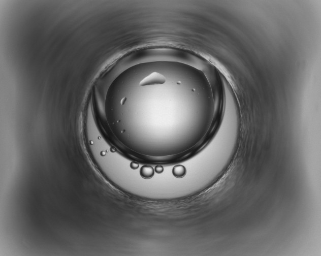 X0000094081477200710191412