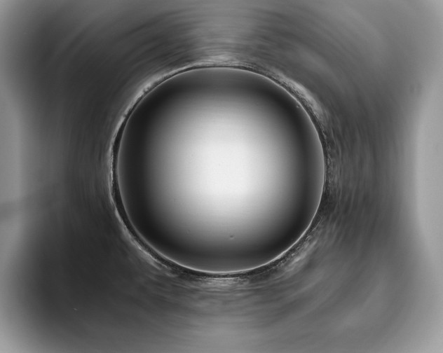 X0000094081479200710191412