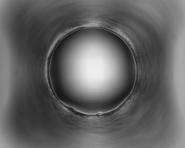 X0000094081480200710191412