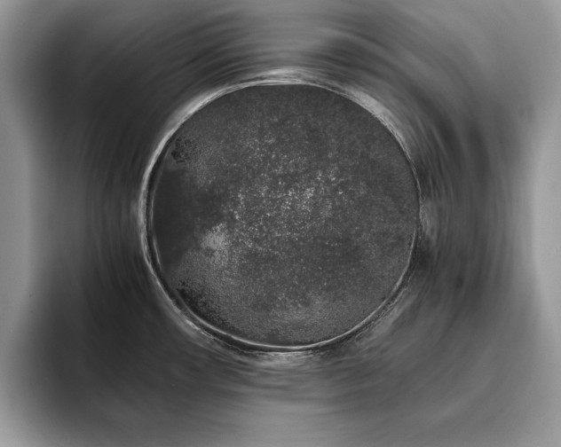 X0000094081482200710191412
