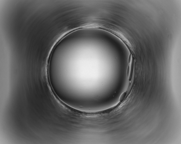 X0000094081484200710191412