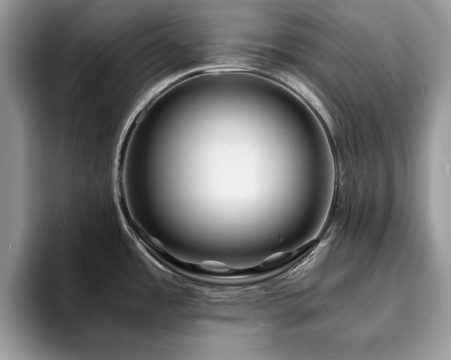 X0000094081485200710191412
