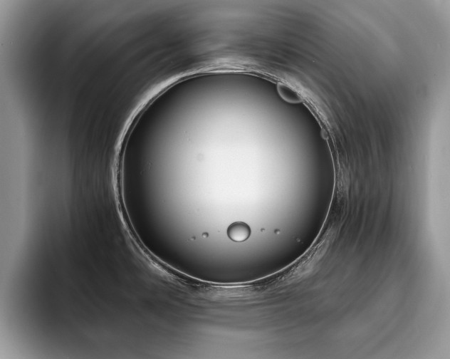 X0000094081486200710191412