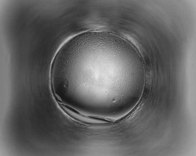 X0000094081487200710191412