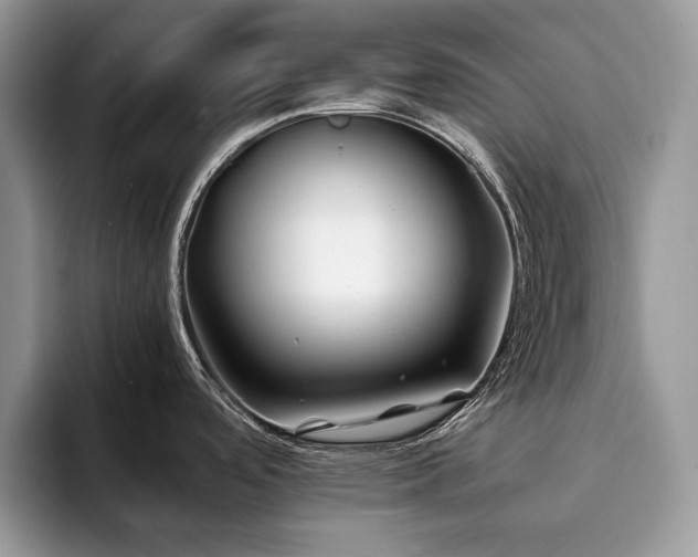 X0000094081488200710191412