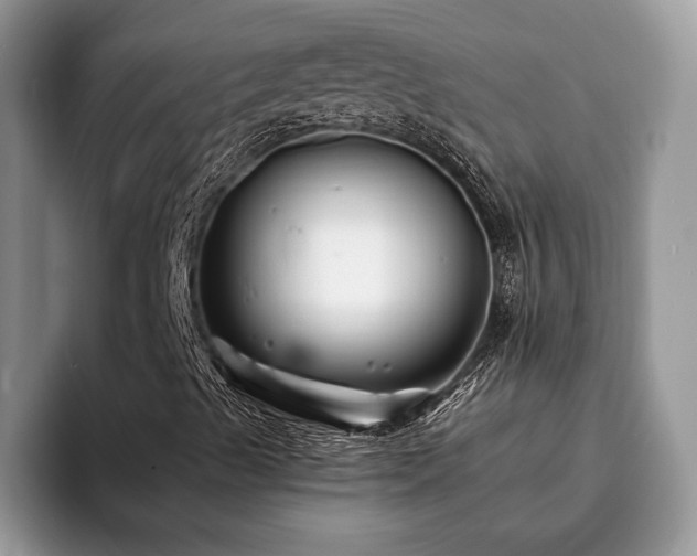 X0000094081489200710191411