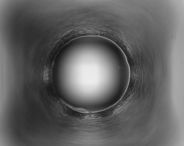 X0000094081490200710191411