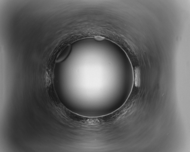 X0000094081491200710191411