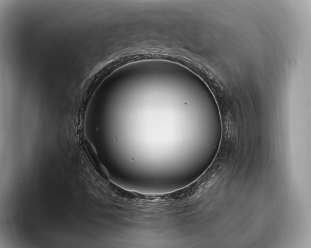 X0000094081494200710191412