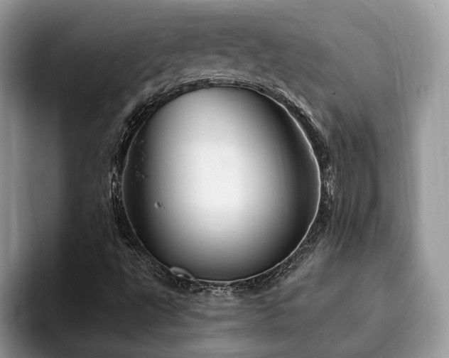 X0000094081495200710191412