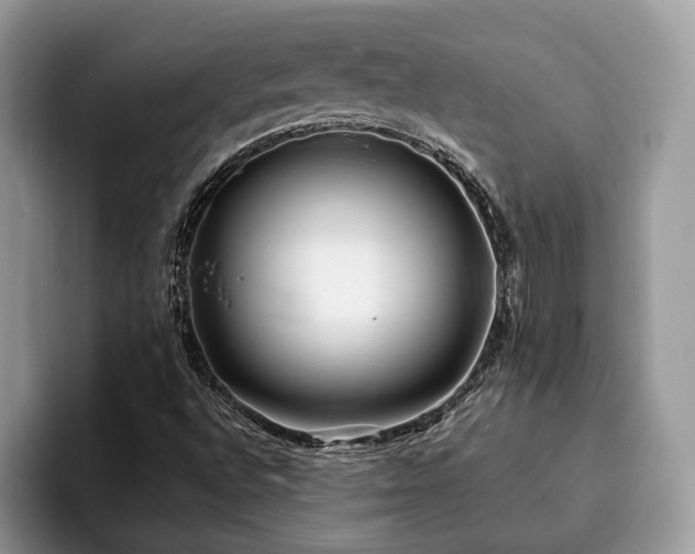 X0000094081496200710191412