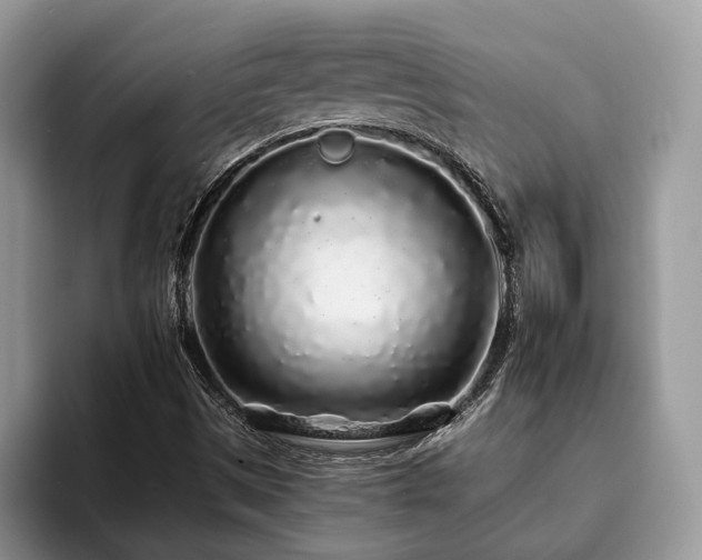 X0000094081497200710191412