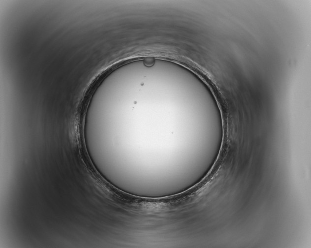 X0000094081498200710191412