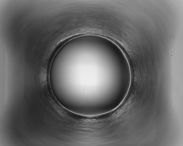 X0000094081499200710191412