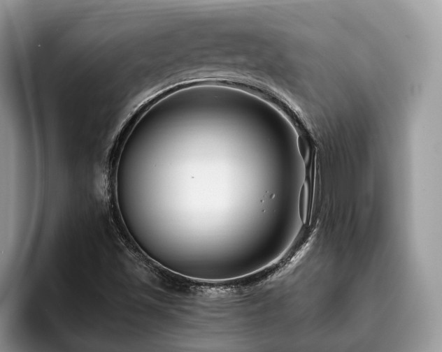 X0000094081501200710191412