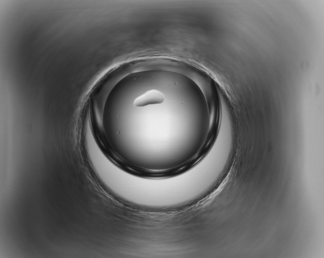 X0000094081502200710191412