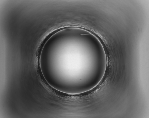X0000094081503200710191412
