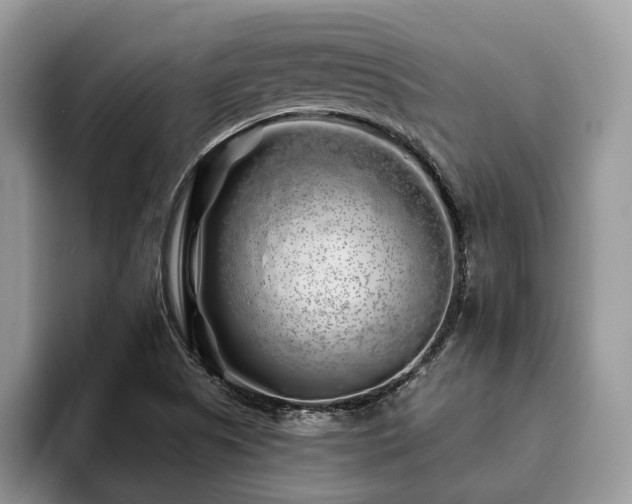 X0000094081505200710191412