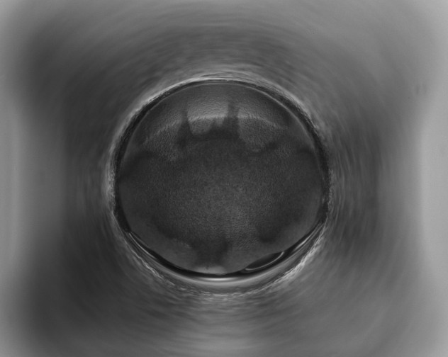 X0000094081506200710191412