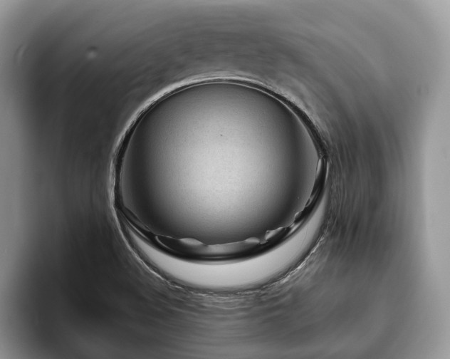 X0000094081508200710191412