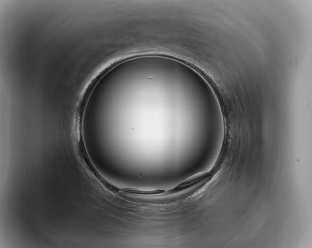 X0000094081510200710191412