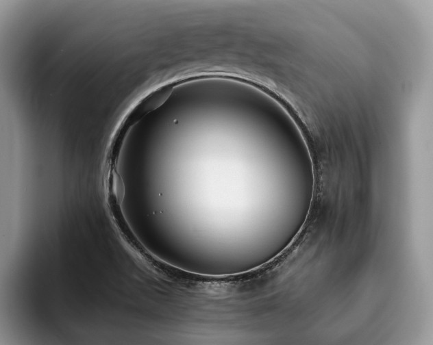 X0000094081511200710191412