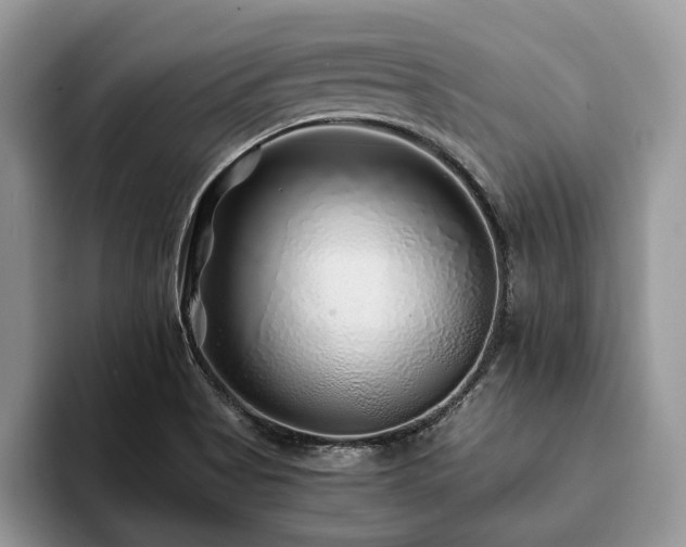 X0000094081513200710191412