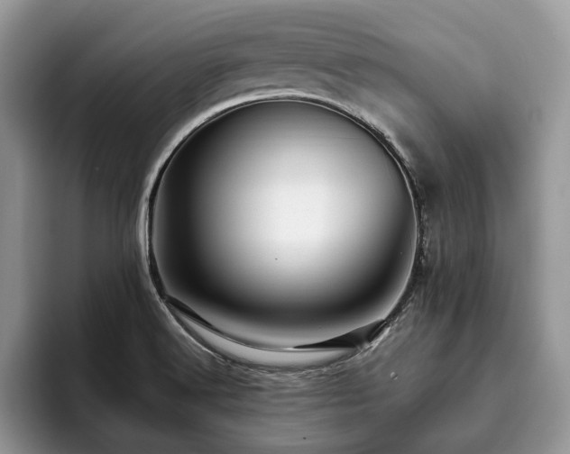 X0000094081516200710191412