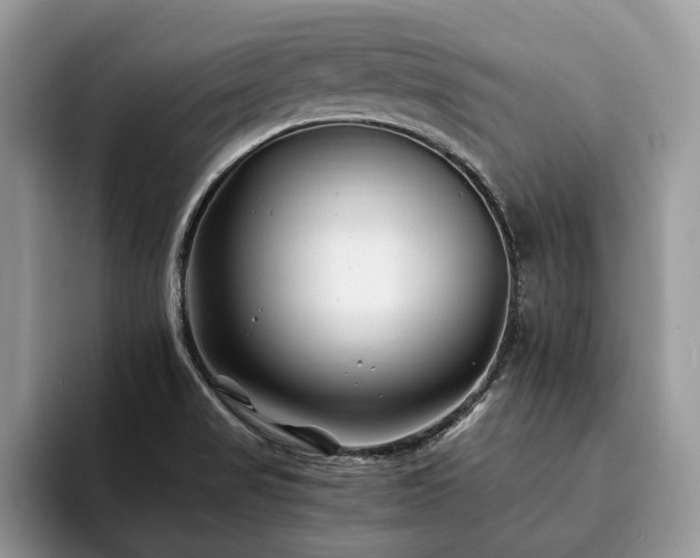 X0000094081517200710191412