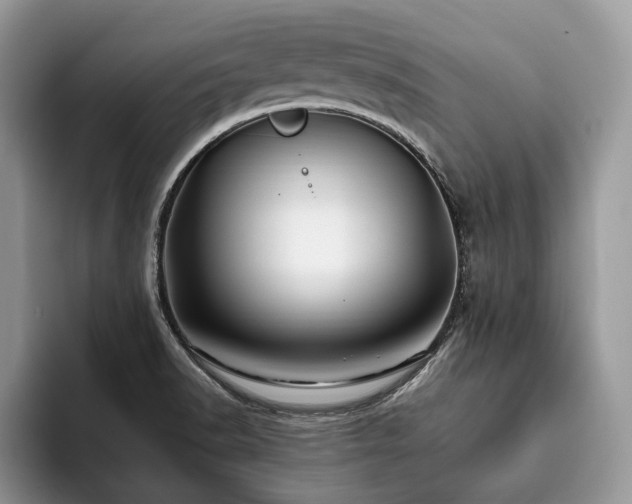 X0000094081518200710191412