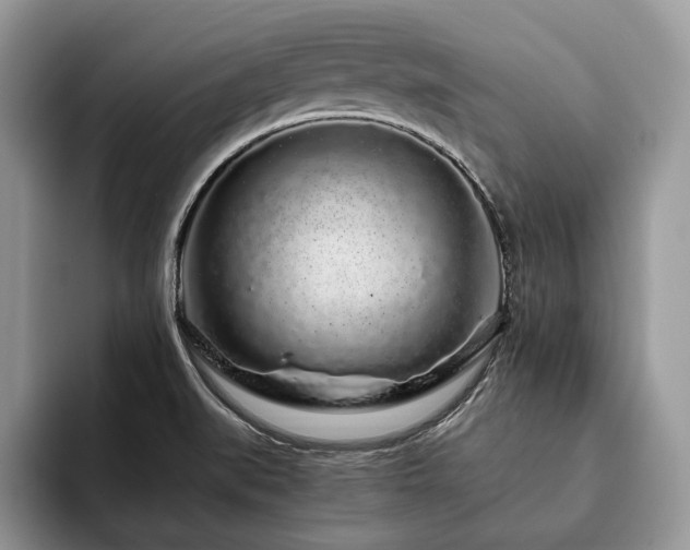 X0000094081519200710191412