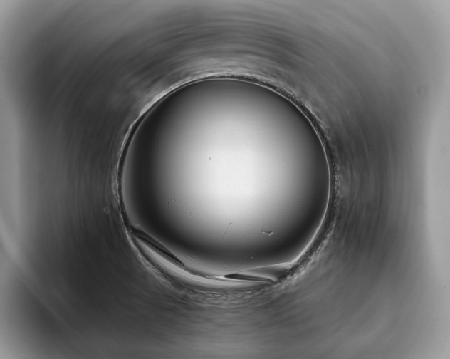 X0000094081521200710191412