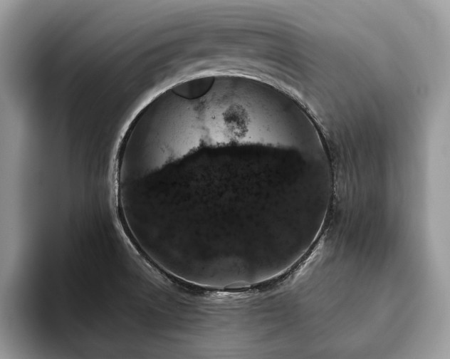 X0000094081522200710191412