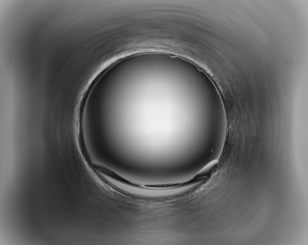 X0000094081523200710191412