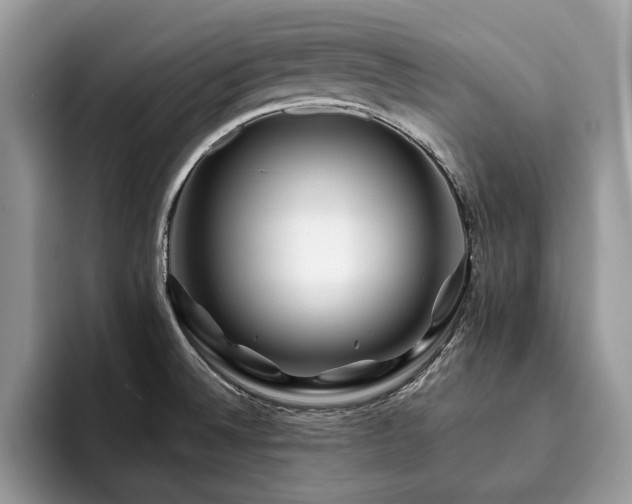 X0000094081524200710191412