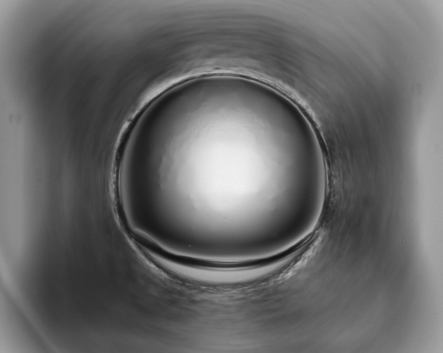 X0000094081525200710191412