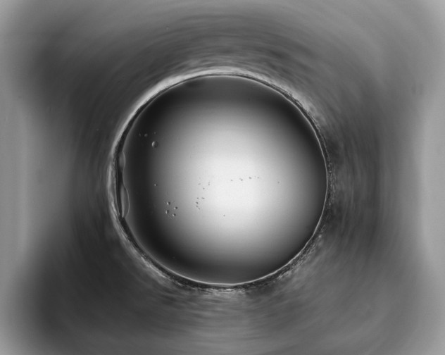 X0000094081526200710191412