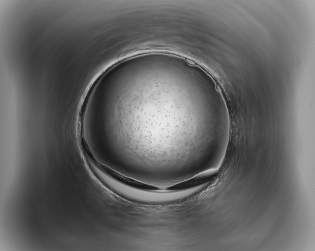 X0000094081527200710191412