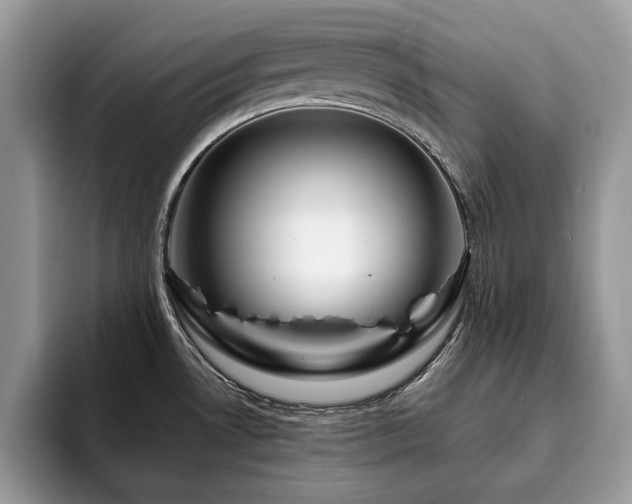 X0000094081530200710191412