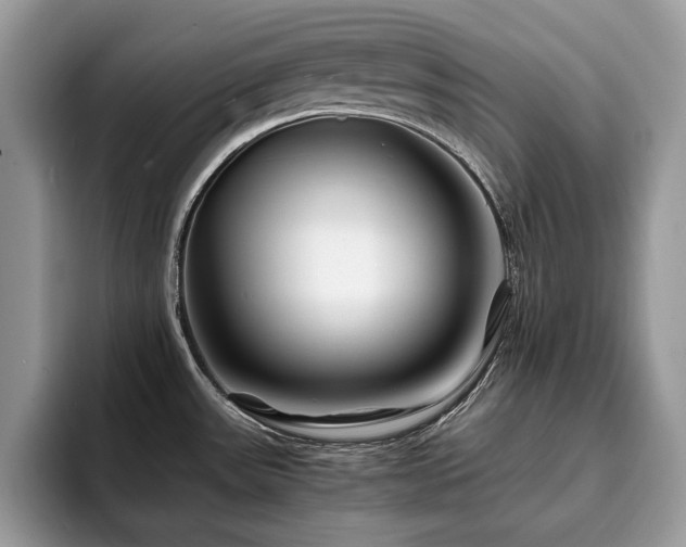 X0000094081531200710191412