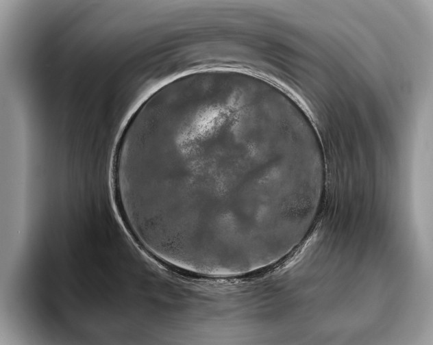 X0000094081533200710191412