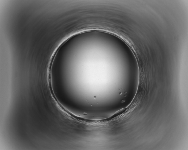 X0000094081535200710191412