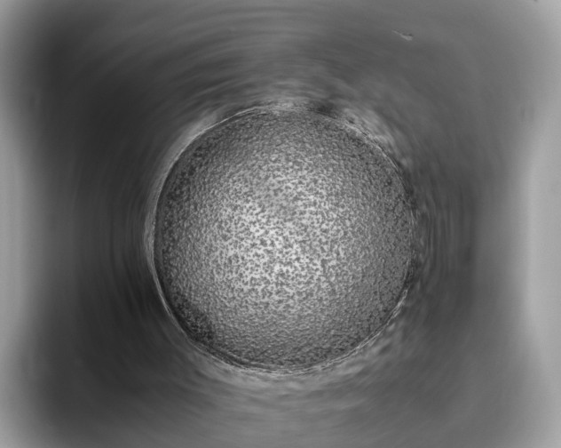 X0000094080003200710261317