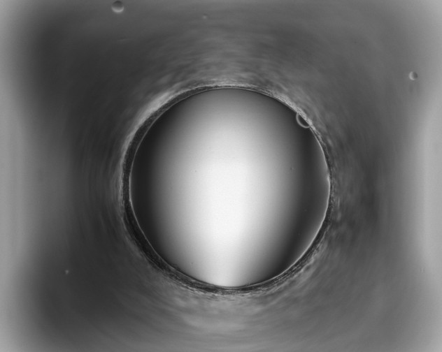 X0000094080008200710261317