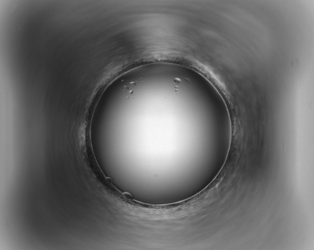 X0000094080010200710261317