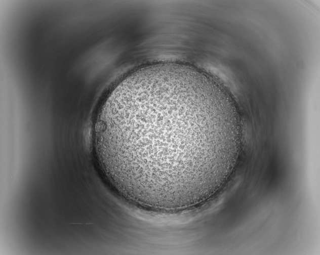 X0000094080016200710261316