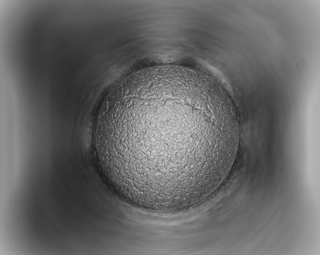 X0000094080018200710261316